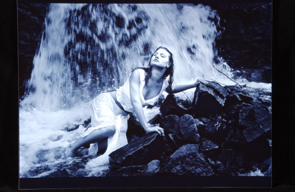 dare to be sheer -- F. Bouchard --